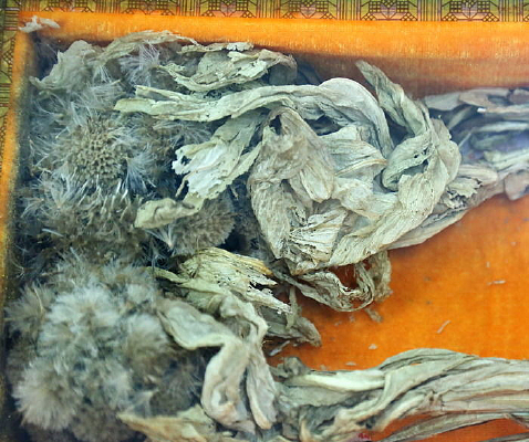 ��ҩ��ѩ����