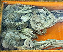 ��ҩ��ѩ����