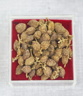 ��ҩ������ɰ