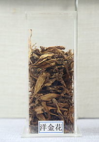 ��ҩ�����