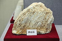 ��ҩ������ʯ�걾