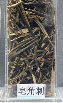 ��ҩ�����Ǵ�