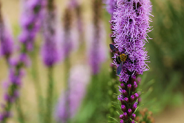 �ϻ��ϵ��۷�