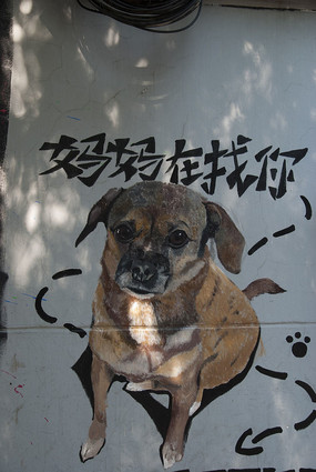 ��ʧ��С��