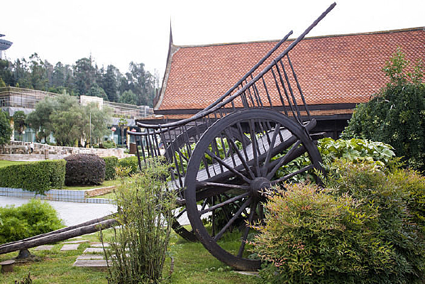 �ݵ�����