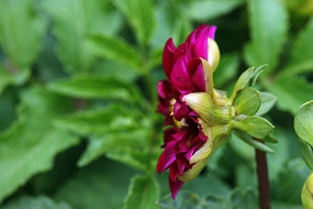 �������Ĳ���