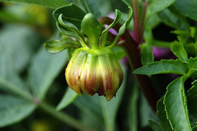 ����������