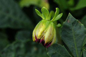 ����������