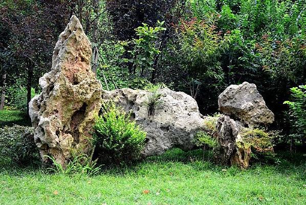 ���Ҷ���