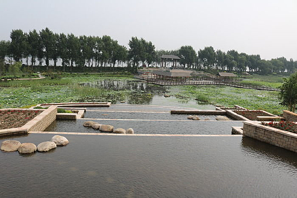 �������ͤ