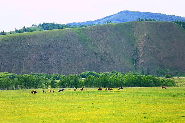 ��ԭ����