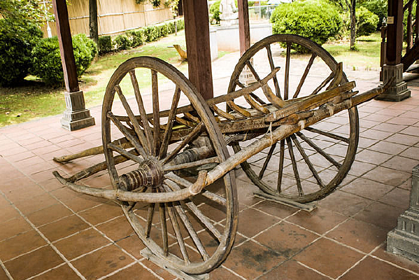 ��¥�µ�ľ�Ƴ�