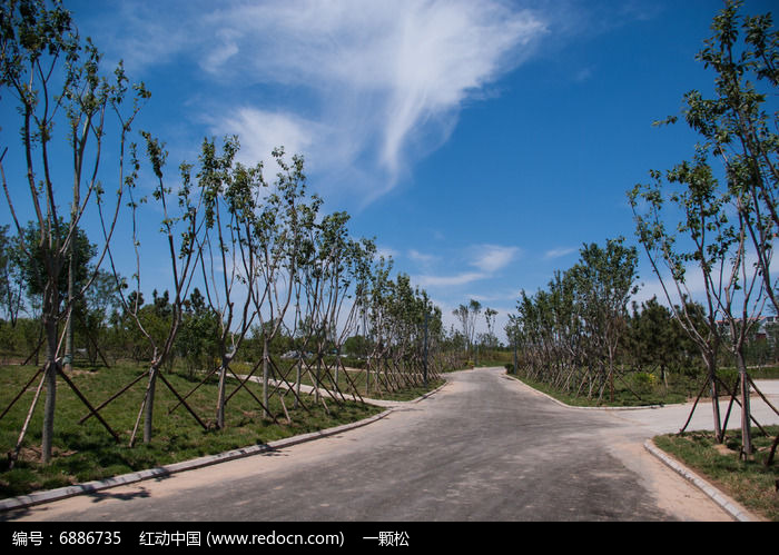 ��԰�еĵ�·ͼƬ