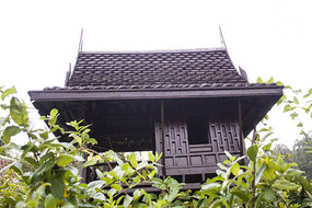 ��ɫ�����������