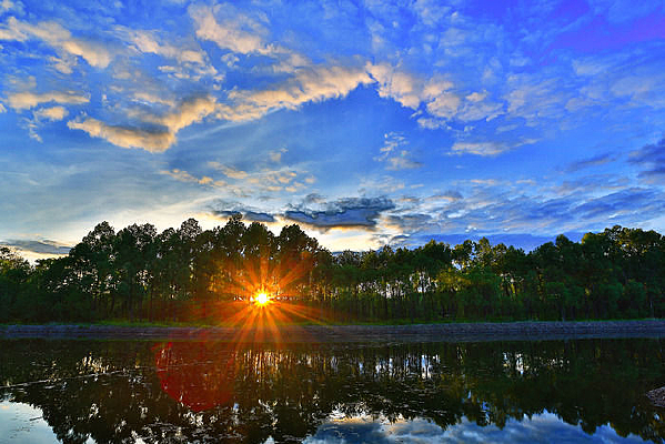 �������շ羰