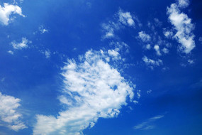 ������Ʒ��