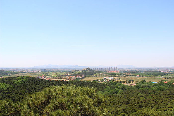 �����µ�ɭ��