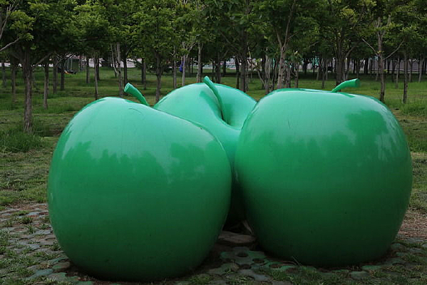 ��ɫ�Ĵ�ƻ������