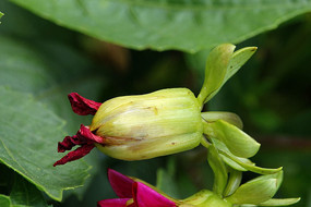 õ���������