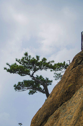 ǧɽ���ɽ�����������