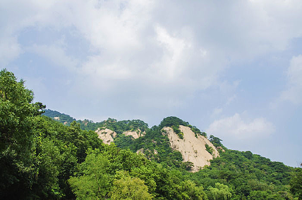 ǧɽ��̶ɽ���������