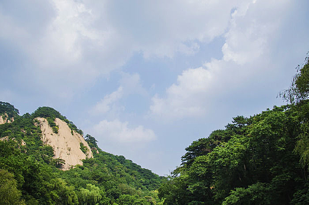 ǧɽ��̶ɽ���������