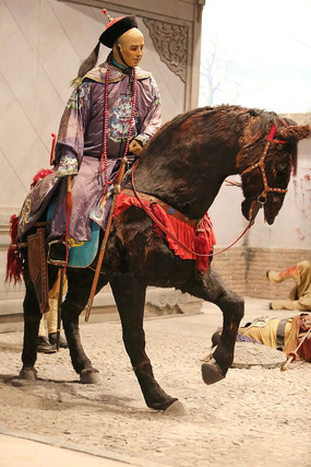 ������������Ա����