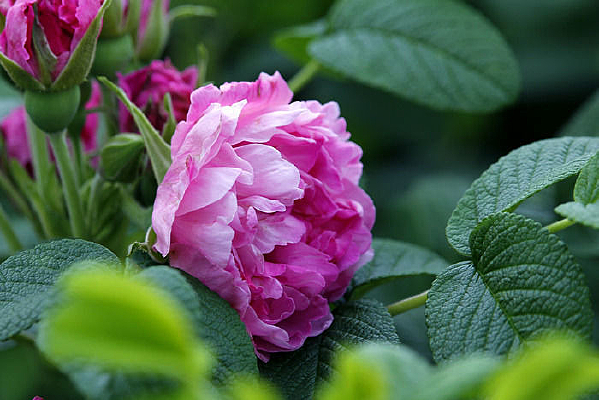 �װ���ĵ����