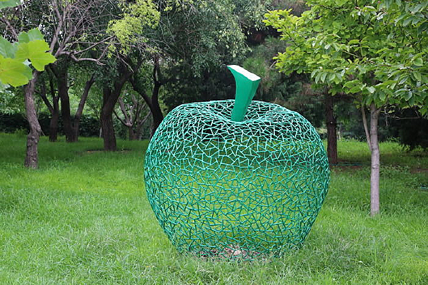 ��������״��ƻ��