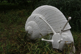 ţ