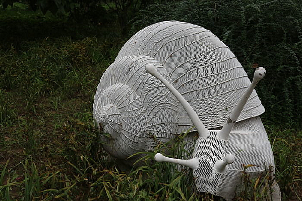 ������ţ