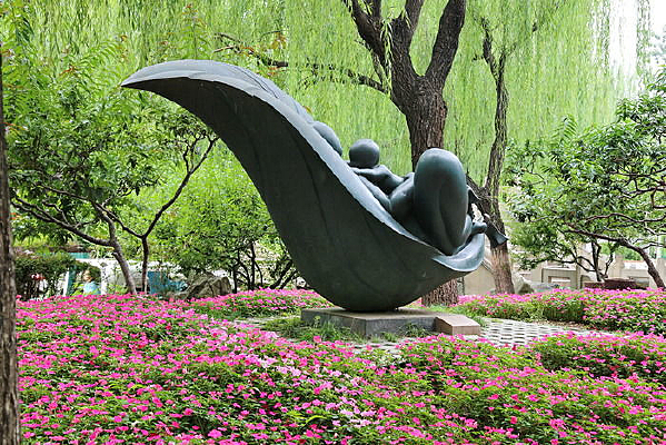 ͭ������Ҷ���е�ĸ�ӵ���