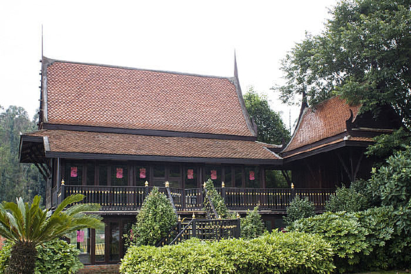 һ��̩������