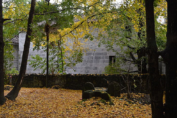 ����������