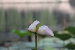 �������