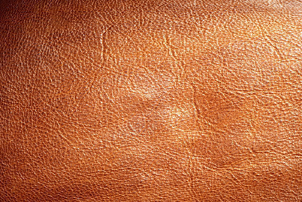 ����Ƥ����Ӱ�ز�