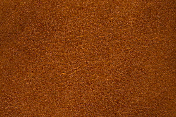 ����Ƥ���ز�