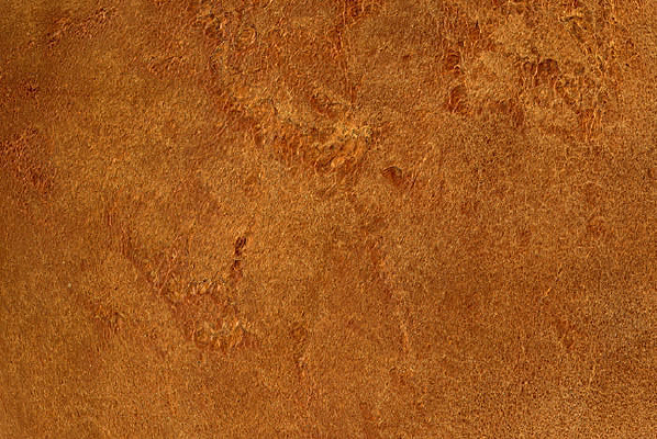 �¾�Ƥ��װ�α���