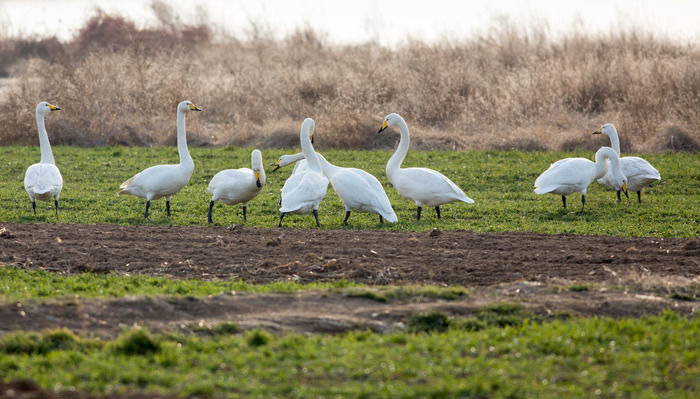 ����������