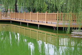 ��Ӱ�ڳ���ˮ�еĴ���������