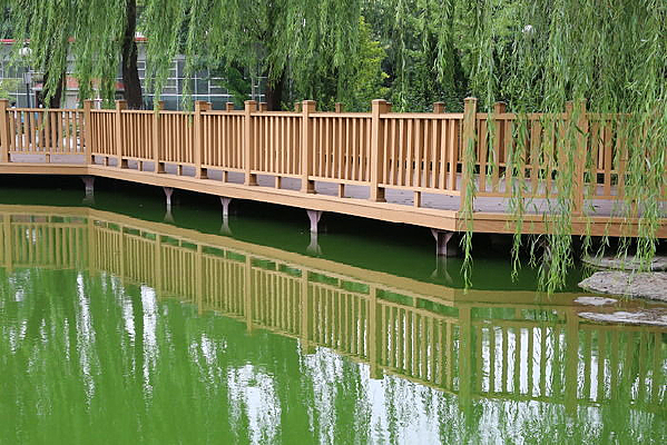 ��Ӱ�ڳ���ˮ�еĴ���������