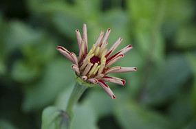 �ջ� ����