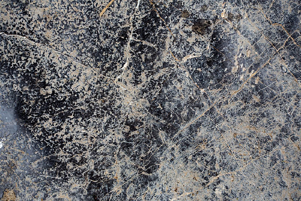 �����ұ�������