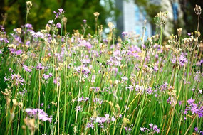 ������ת�������