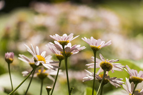 �ջ�����д