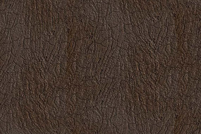 ����ɳ����������