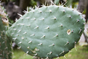 ��ɫ��������