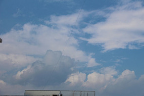 �������������