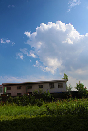 ��������������ľ�