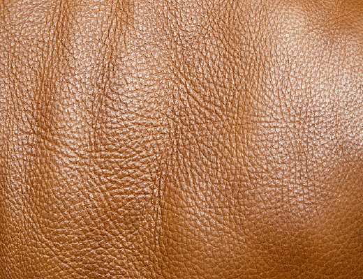 Ƥ����Ӱ���屳��